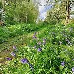 Desart School Garden * Kilkenny