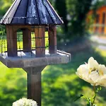 Desart School Garden Chalet Kilkenny