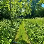 Desart School Garden