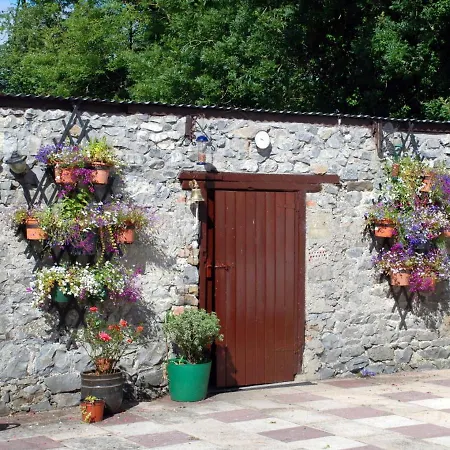 Desart School Garden Kilkenny