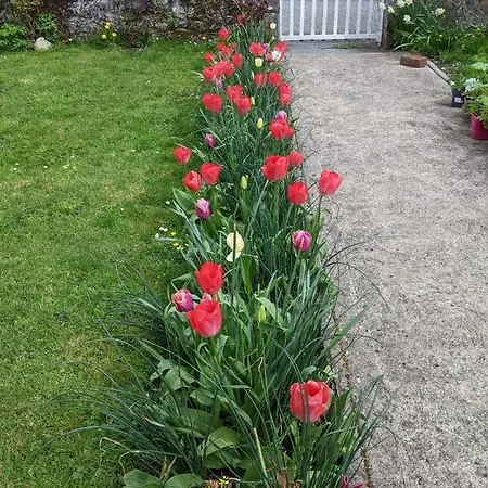 Chalet Desart School Garden *