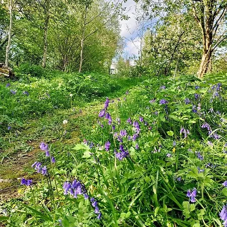 Desart School Garden * كيلكيني