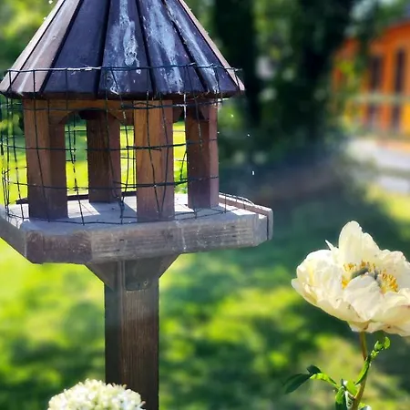 Desart School Garden Chalet Kilkenny