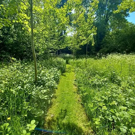 Desart School Garden