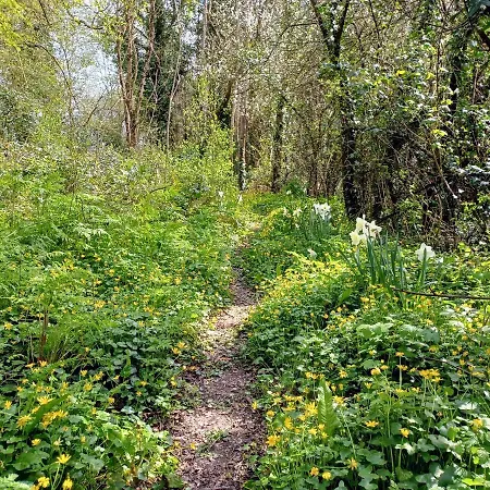 Desart School Garden شاليه