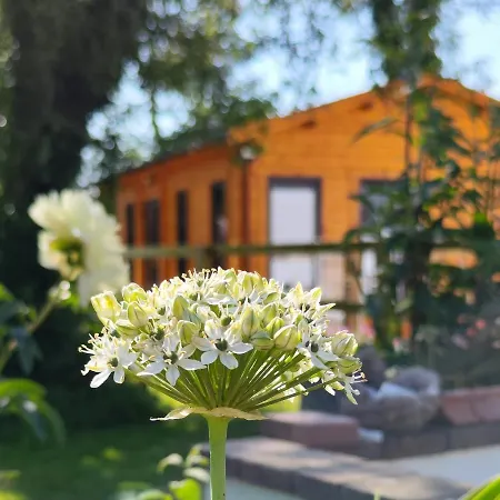 Chalet Desart School Garden