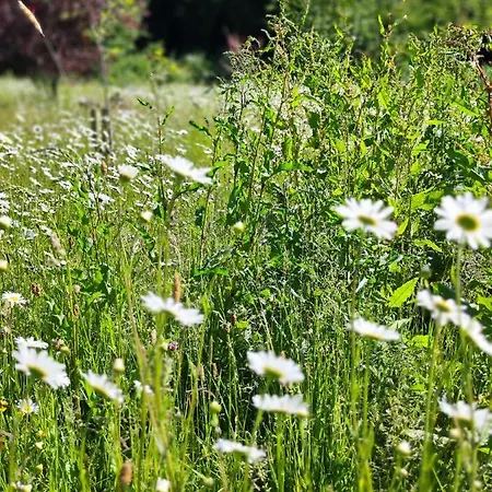 Chalet Desart School Garden *