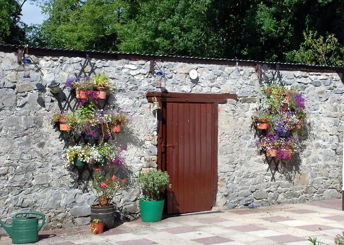 Desart School Garden Kilkenny