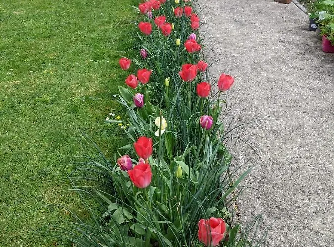 Шале Desart School Garden *