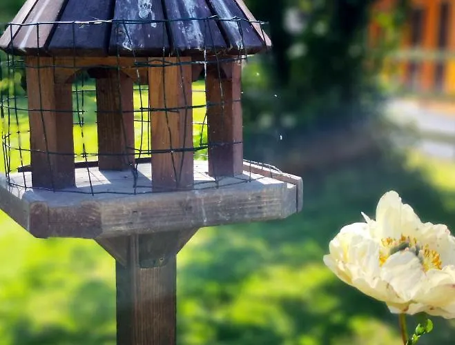 Desart School Garden Шале Килкенни