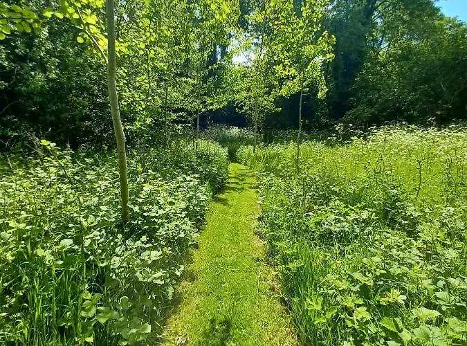 Desart School Garden