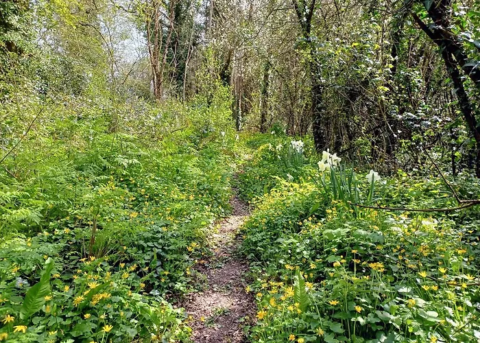 Desart School Garden Шале