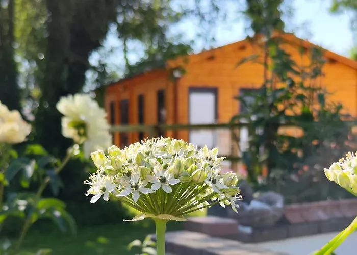 Шале Desart School Garden